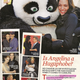 Image for article titled This Week In Tabloids: Brad Crashes Motorcycle Rushing To Jen; Celebs ♥ Nose Jobs